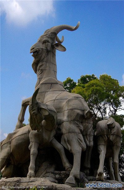 丰富多元，满足你的休闲需求